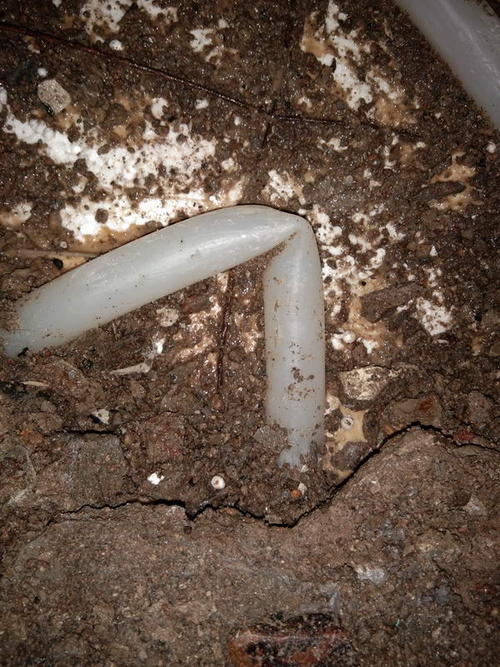 兴化堵点精准查找